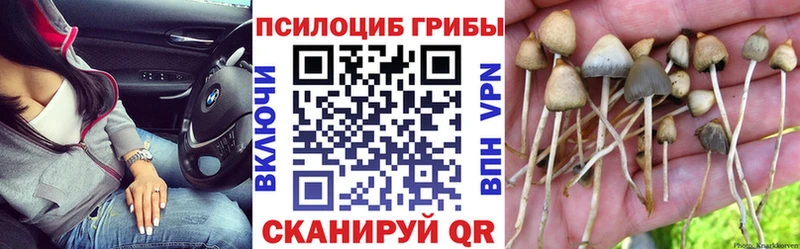 Псилоцибиновые грибы ЛСД  МЕГА как зайти  Наволоки 