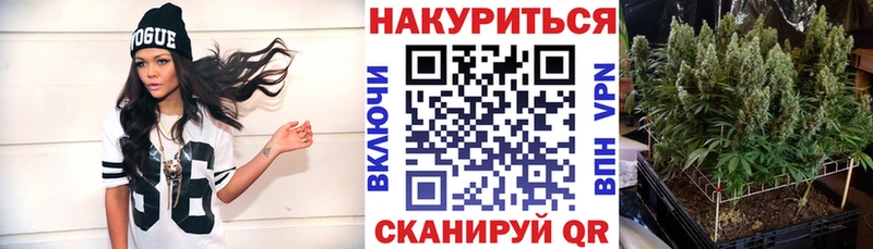 продажа наркотиков  Наволоки  МАРИХУАНА индика 